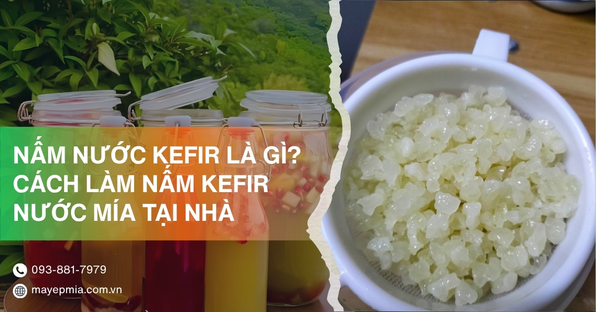 Nấm nước kefir